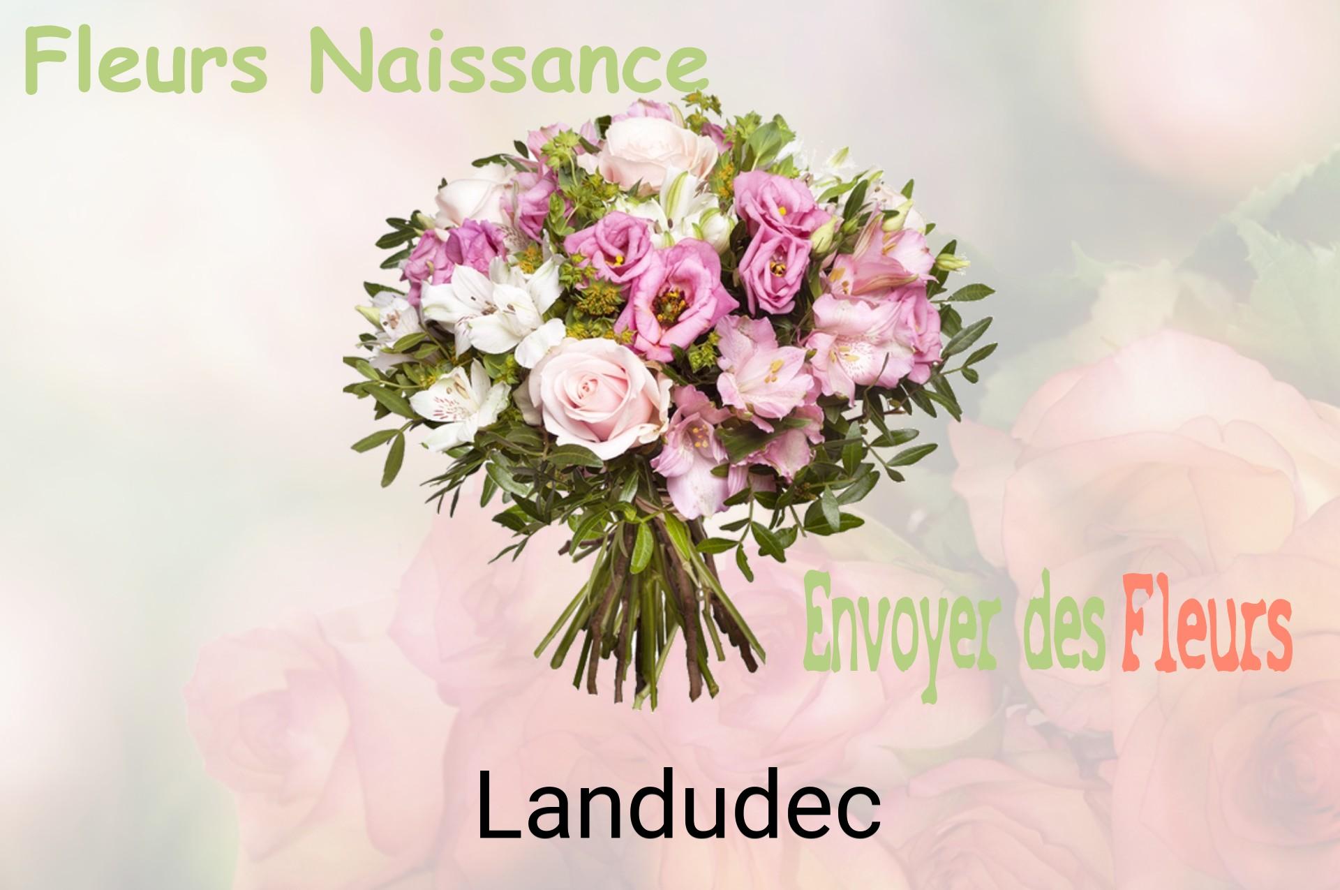 Bouquet de fleurs de naissance livré à Landudec