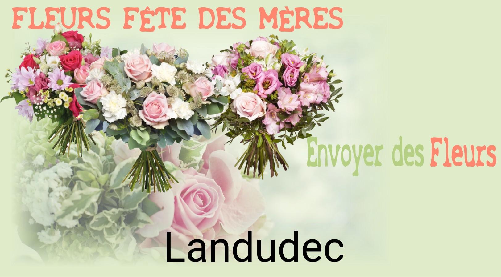 Bouquet de Fête des Mères livré à Landudec